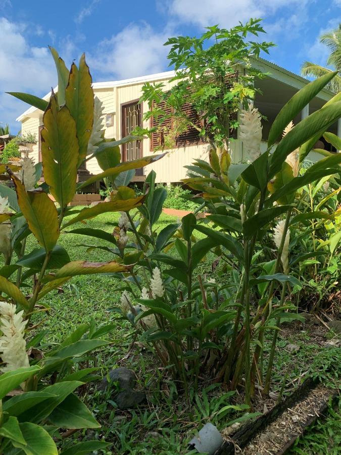 Willa Bella Casa Rarotonga Zewnętrze zdjęcie